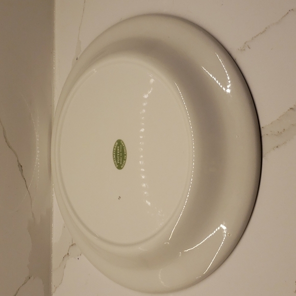 Portmeirion Birds of Britain Magpie Pica Pica Dinner Plate Green Band 1… - Picture 3 of 7